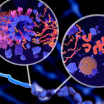 PROTEINE THAU, NEURODEGENERESCENCE ET SCLEROSE EN PLAQUES : PERSPECTIVES SCIENTIFIQUES ET REGARD GRAND PUBLIC (APPROCHE INTEGREE)